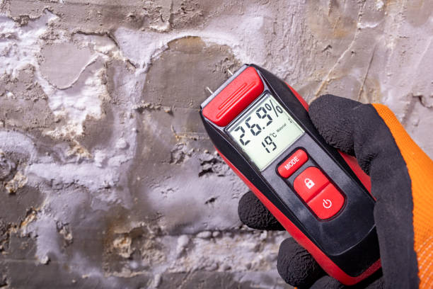 Best Crawl Space Mold Remediation in Lumber City, GA